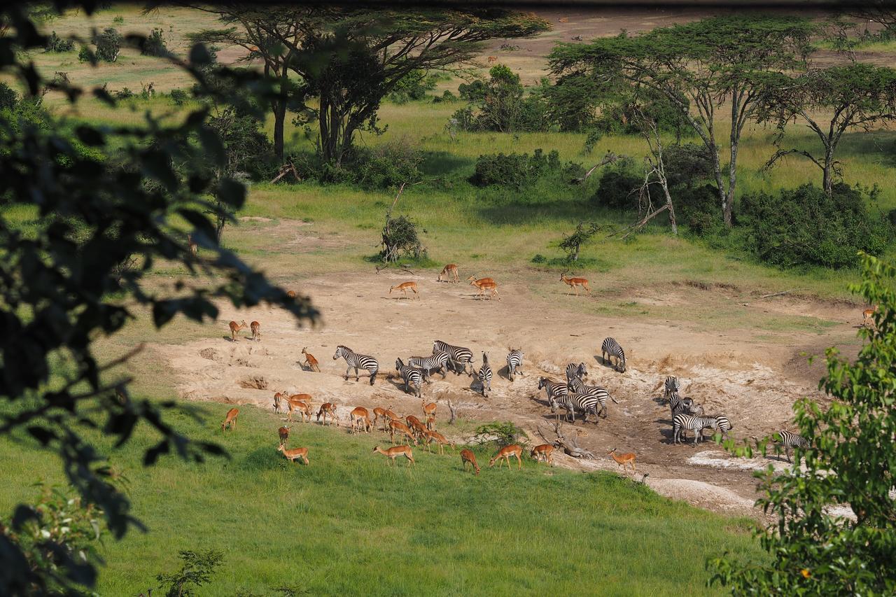 Saruni Eagle View Hotel Naboisho Luaran gambar