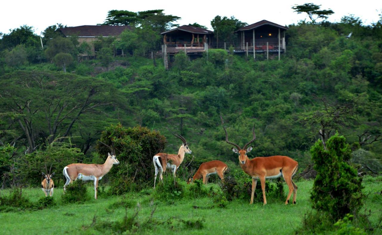 Saruni Eagle View Hotel Naboisho Luaran gambar
